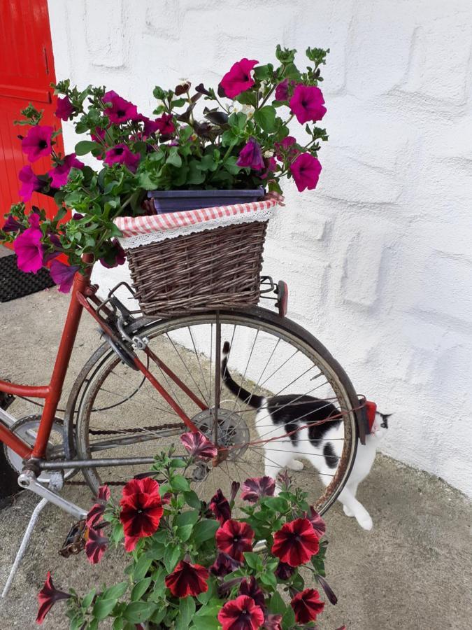 Shannon Breeze Cottage Ballycrossaun Buitenkant foto