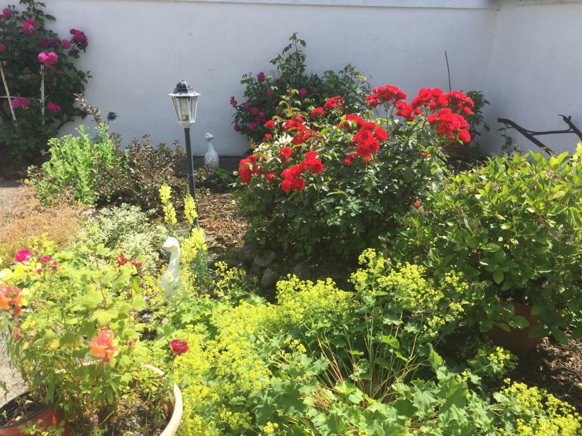 Shannon Breeze Cottage Ballycrossaun Buitenkant foto