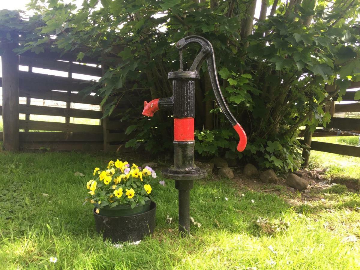 Shannon Breeze Cottage Ballycrossaun Buitenkant foto
